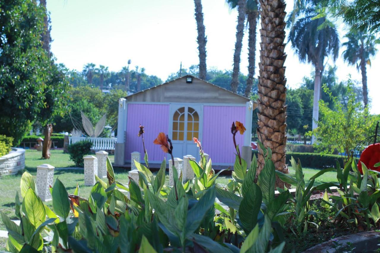 Jewel Assiut Hotel Dış mekan fotoğraf